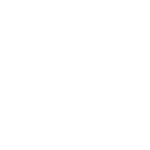 Flutter Application platform logo